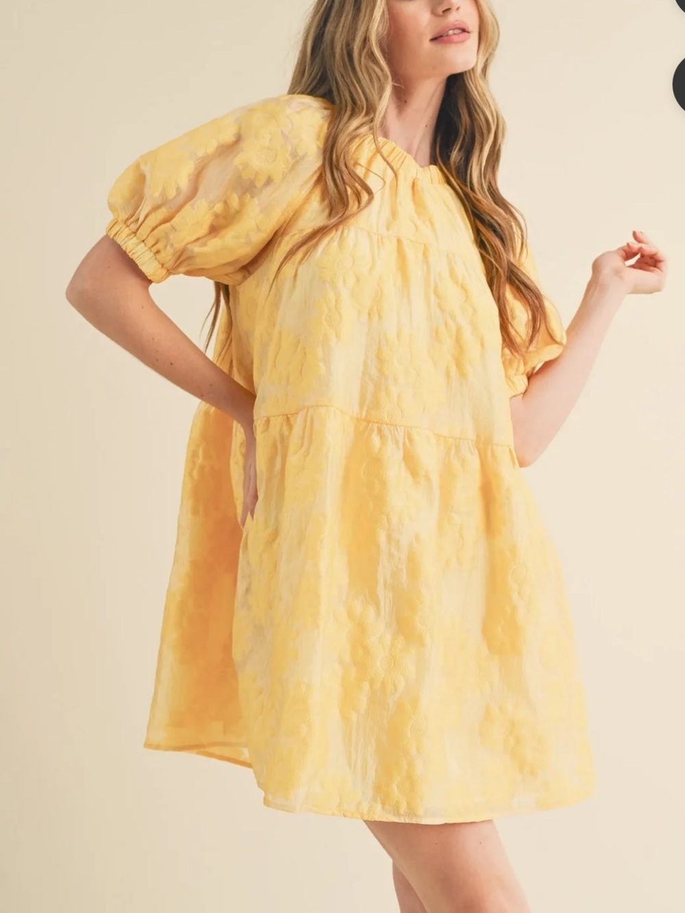 Talulah ORGANZA JACQUARD BABYDOLL DRESS Size L